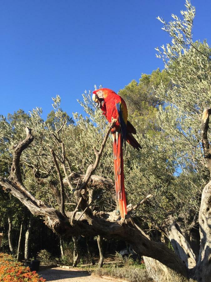 فندق La Rabasse De Gallinette أوبس المظهر الخارجي الصورة