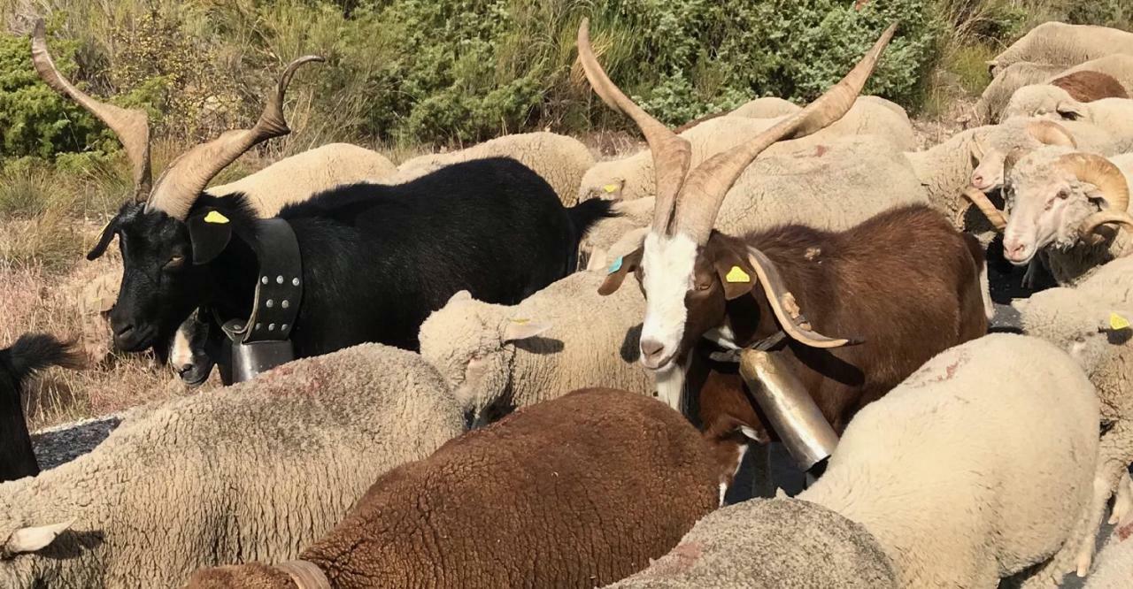 فندق La Rabasse De Gallinette أوبس المظهر الخارجي الصورة